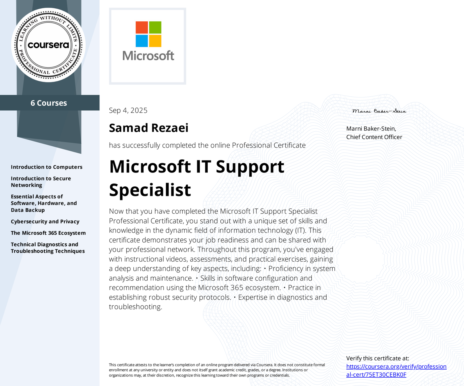 Microsoft IT-Support-Spezialist